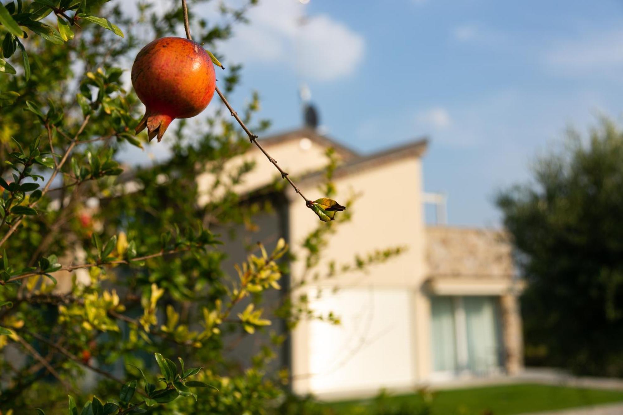 Casa Massaro Todeschini Aparthotel Abano Terme Exterior foto